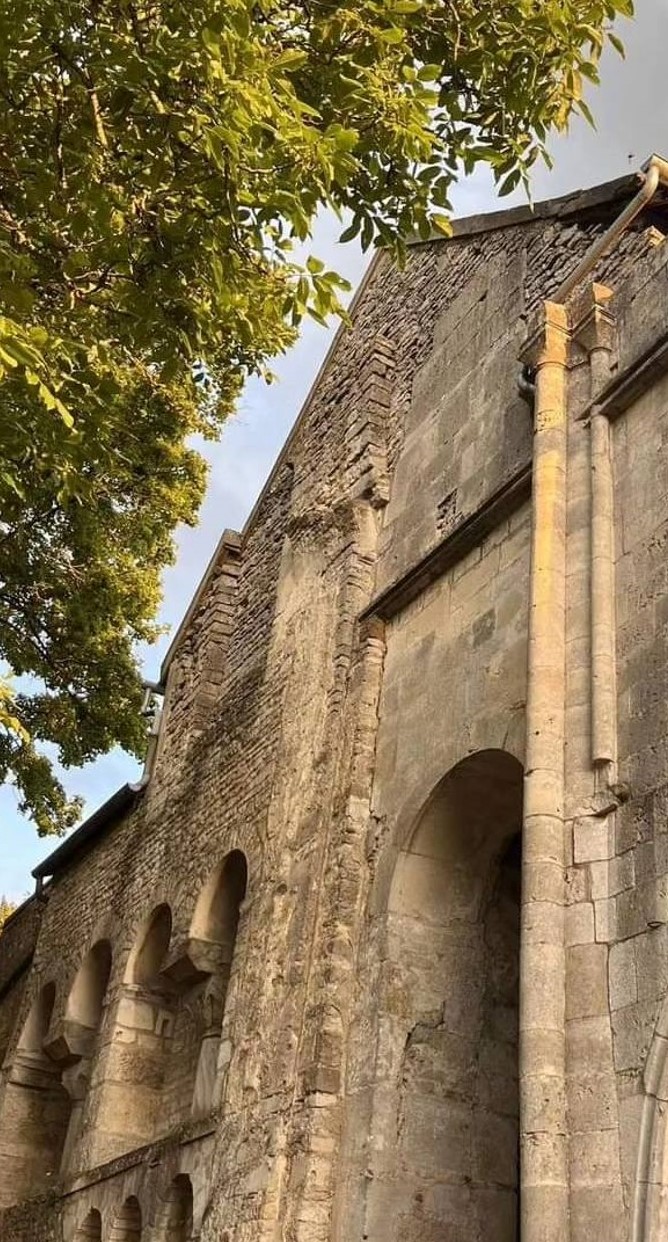 Image1