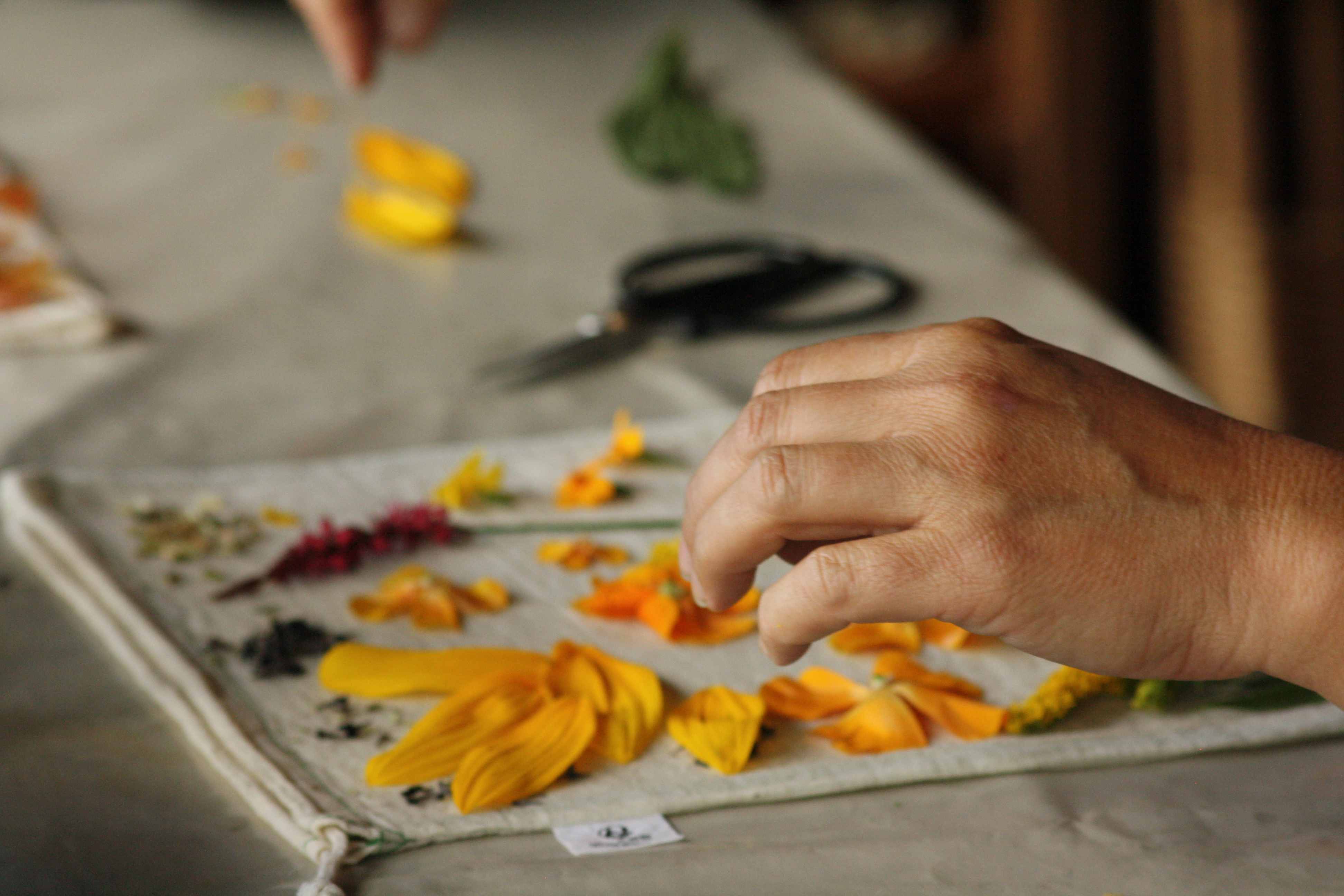 Atelier Impressions végétales
