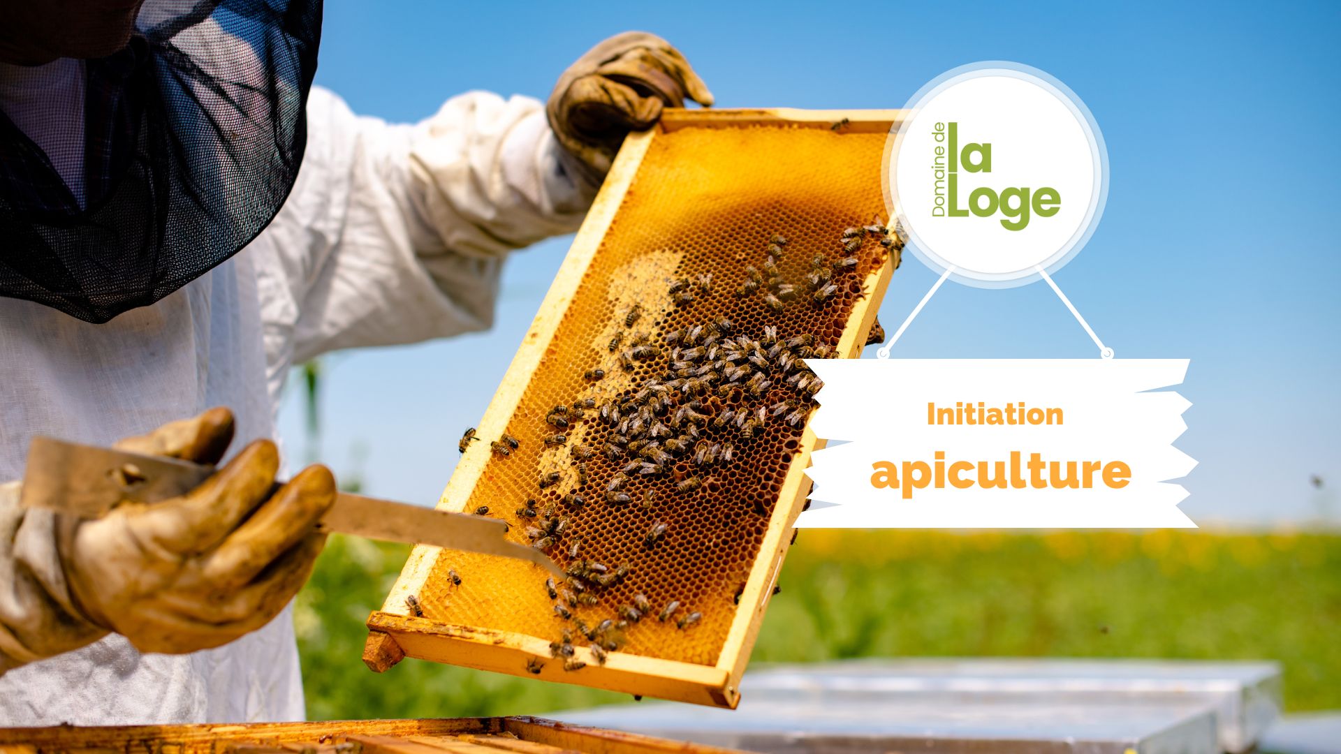 Initiation apiculture