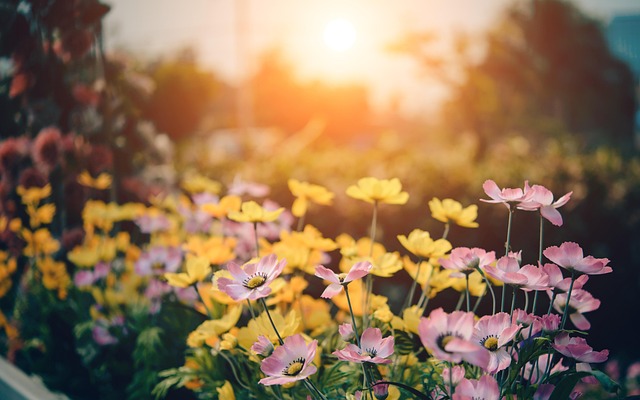 Grande fête du jardin