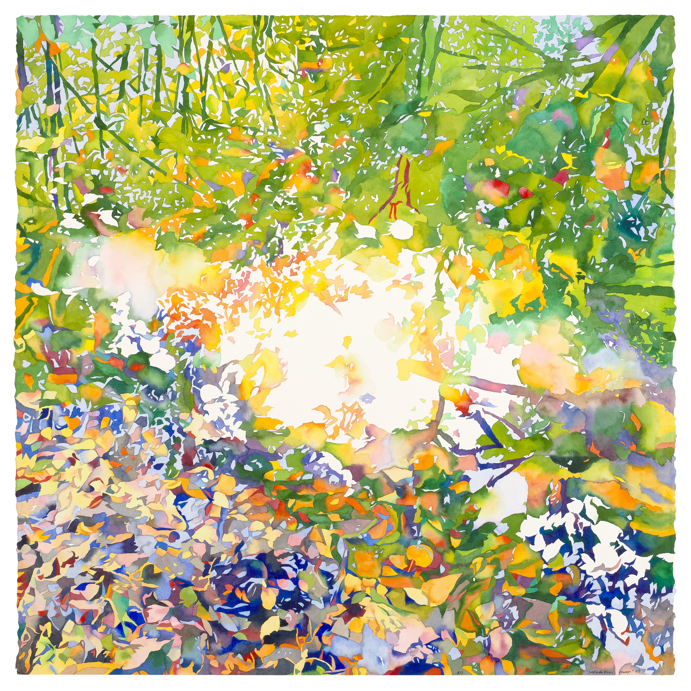 JARDIN DU BLANC PASSAGE N°2   1223  web imp copie