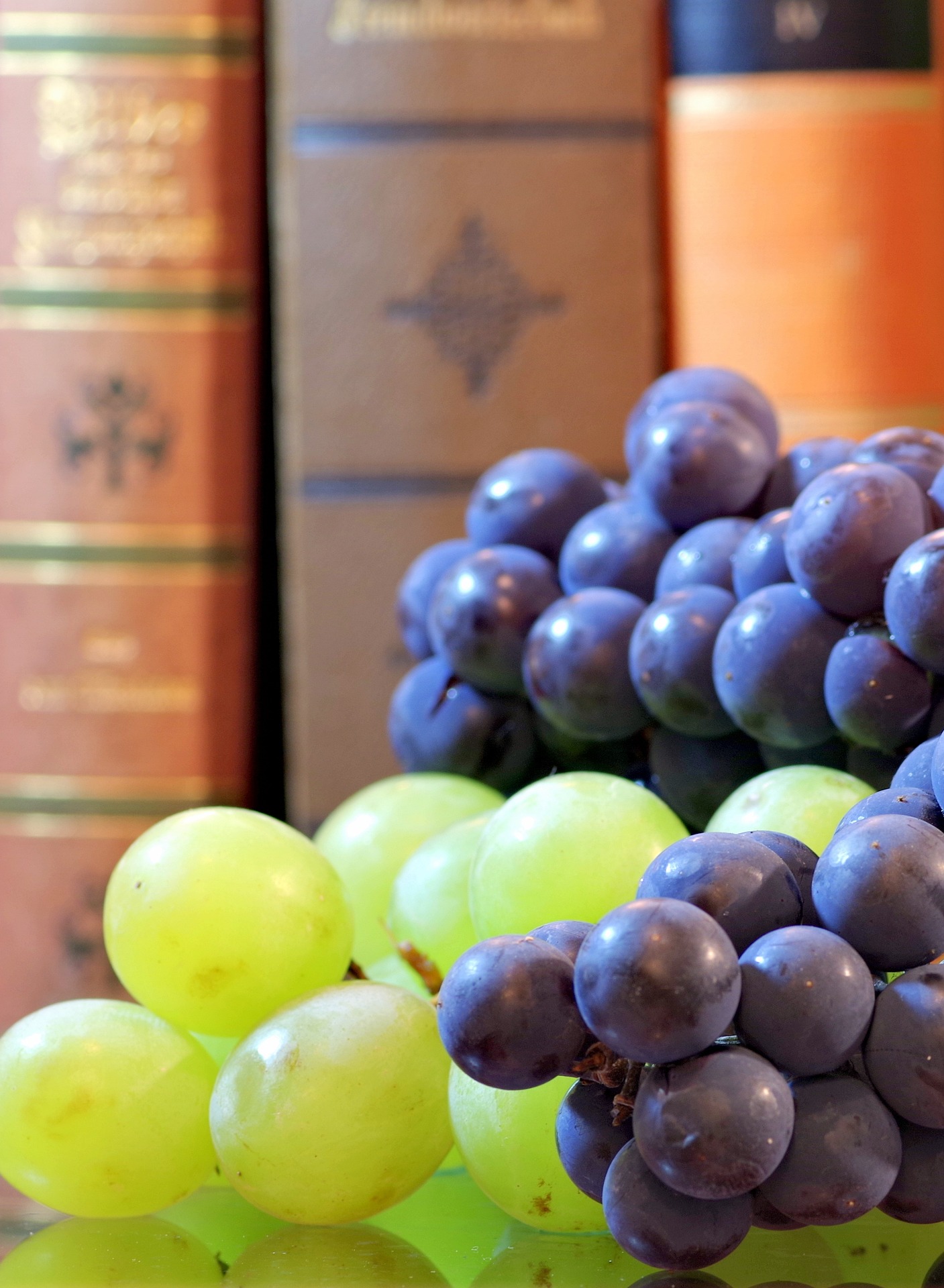 JOURNEE DE LA LITTERATURE ET DU VIN