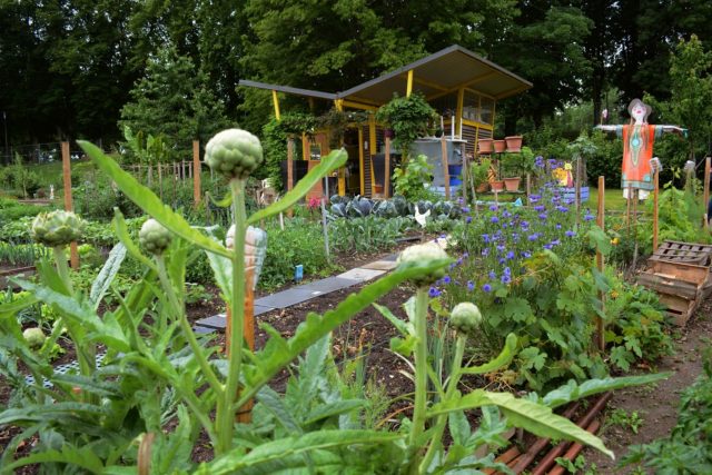 Bienvenue dans mon jardin au naturel, pour l'eau et la santé
