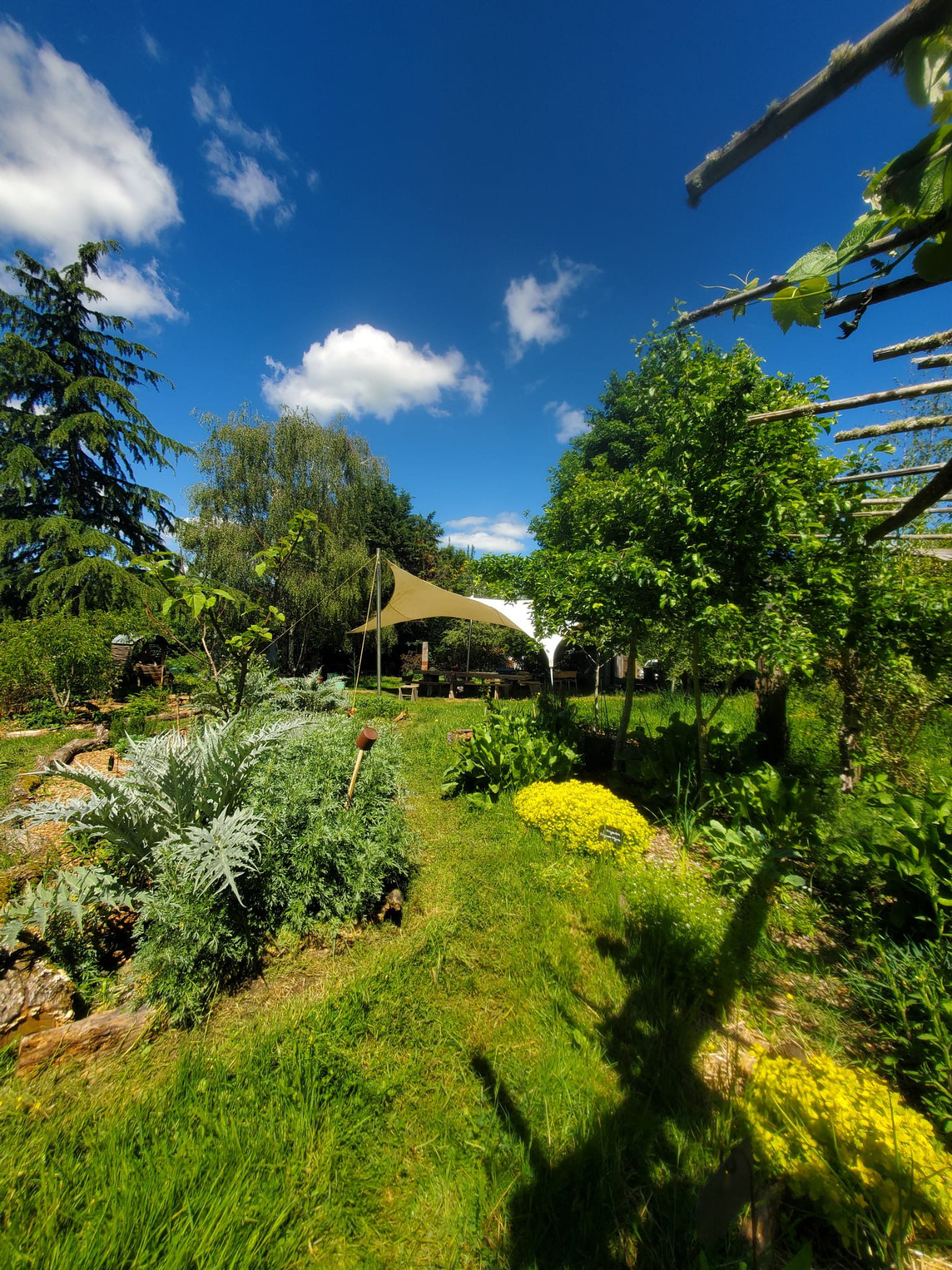Visite du Jardin Ressource du P.a.r.c
