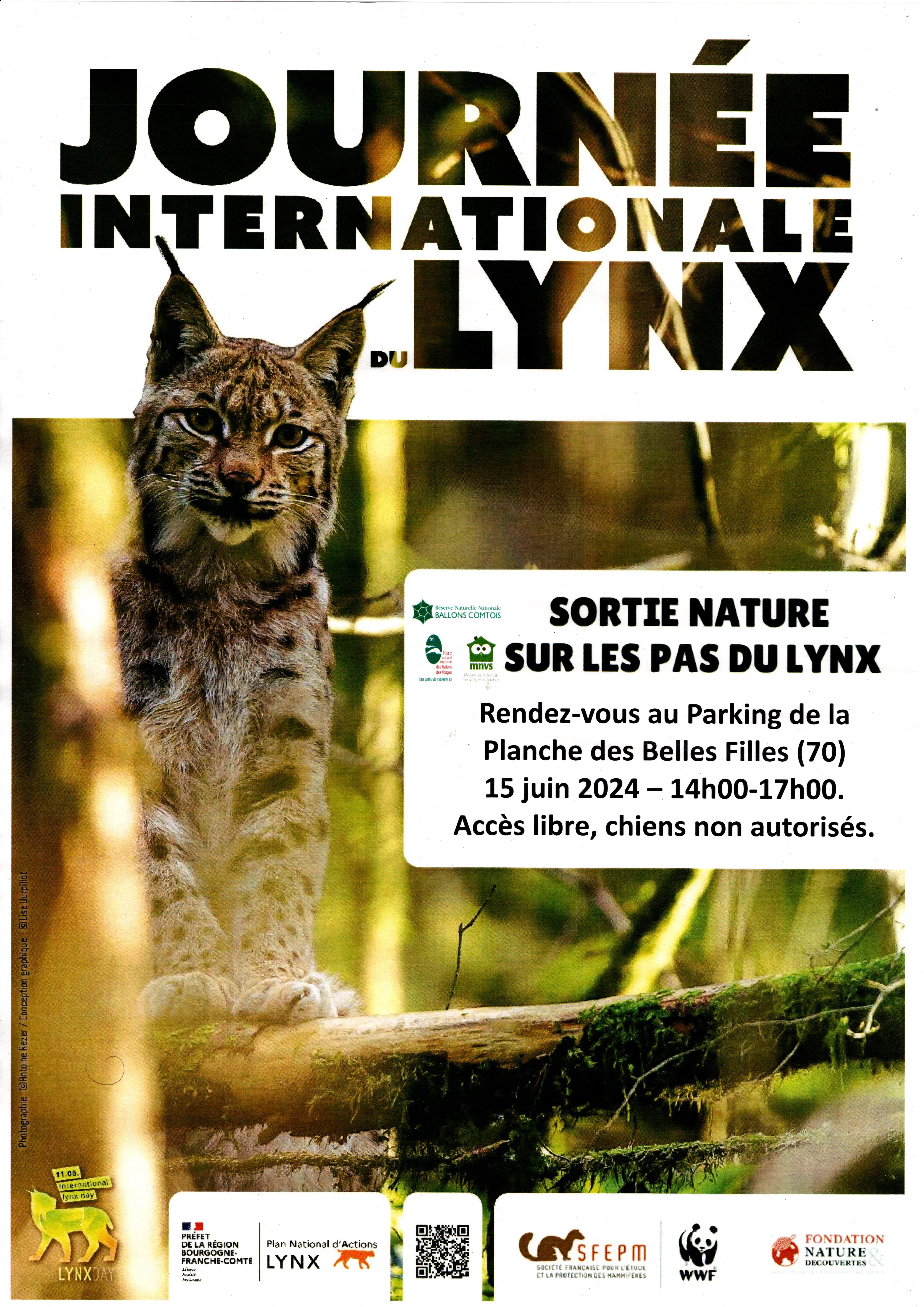 Journée lynx