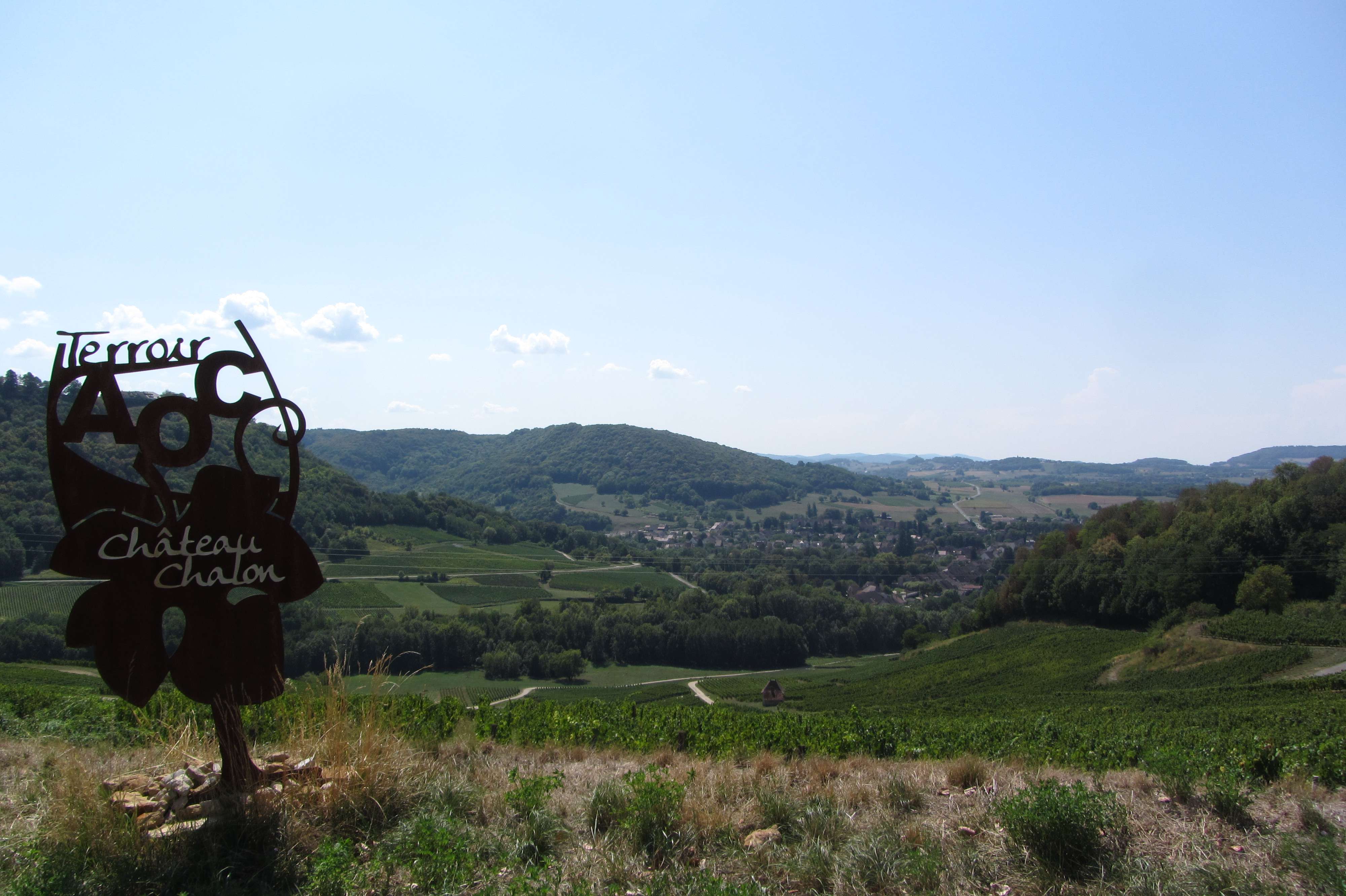 Jura Wine by Velovitamine (6)
