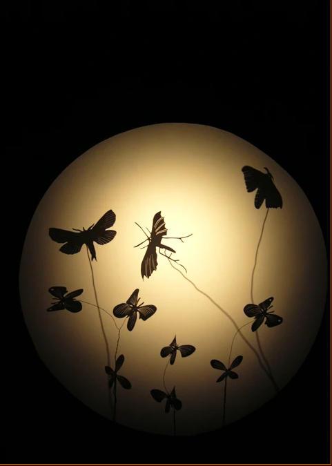 L'EFFET DU PAPILLON