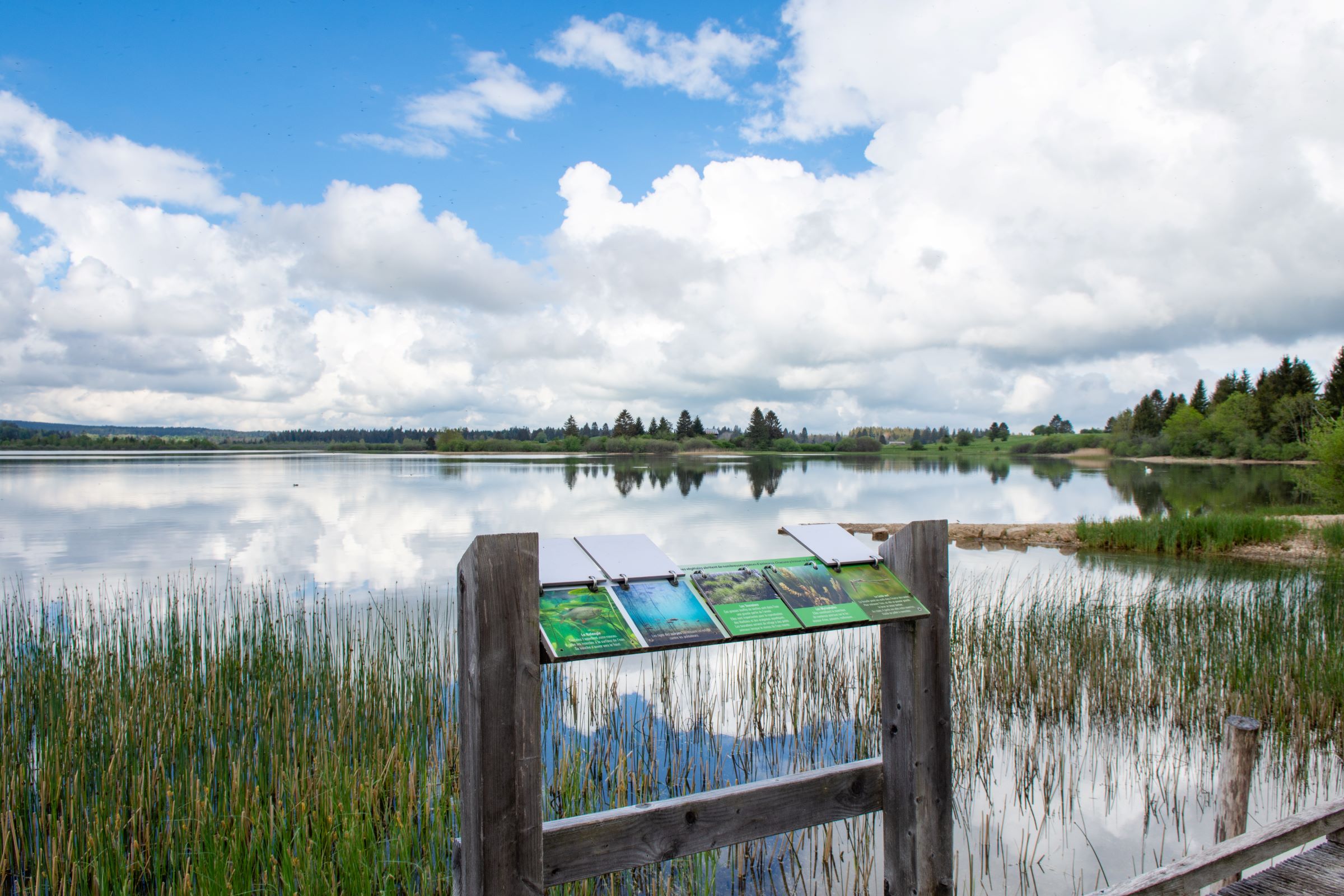 Balade sensorielle "Converser avec soi sur les rives du lac de l’Entonnoir"