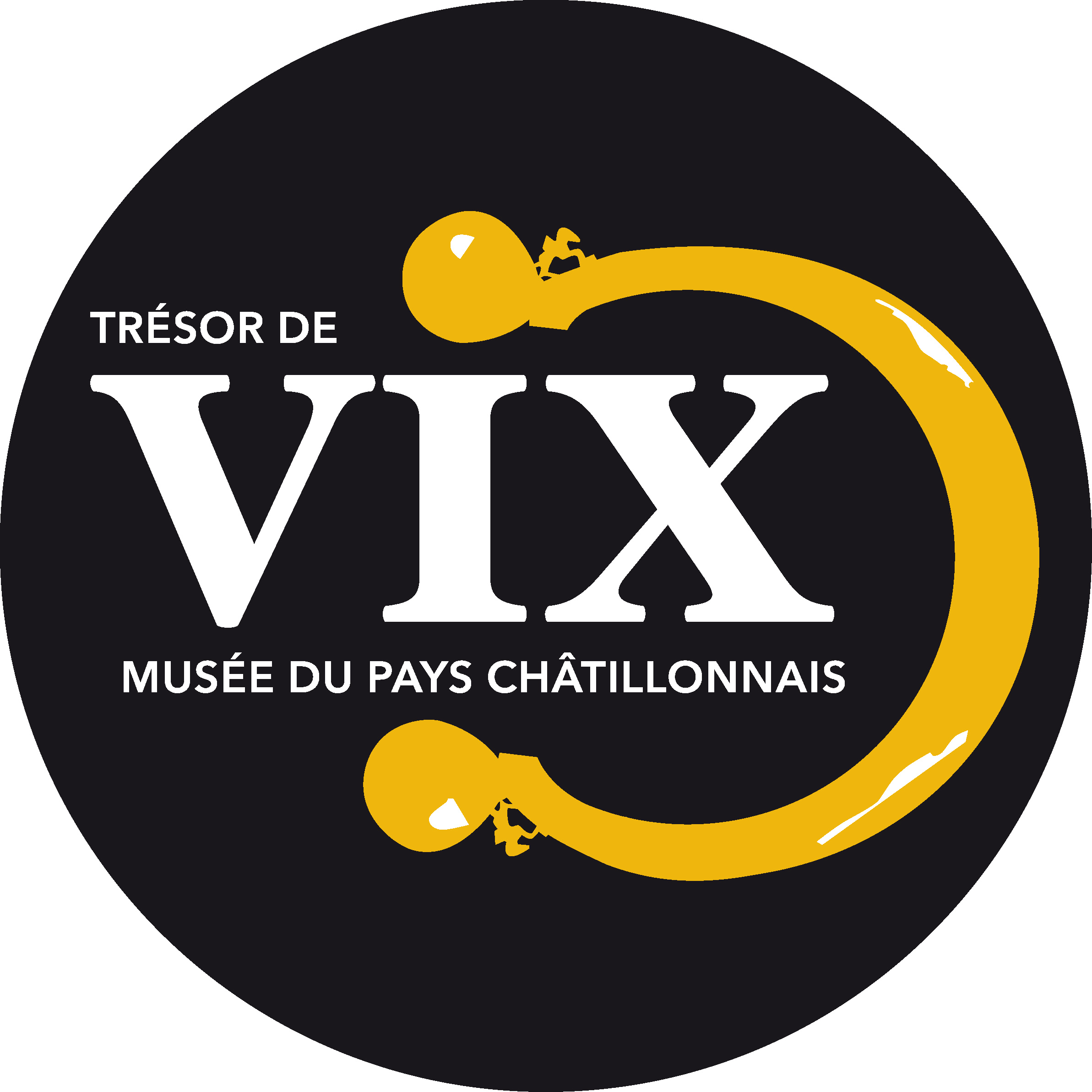 LOGO MUSEE