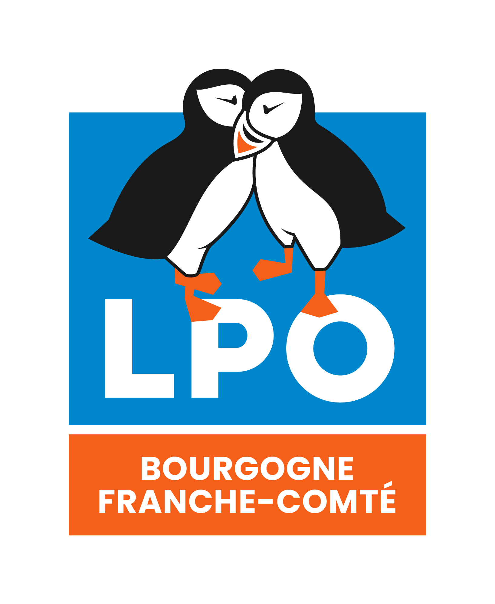 À la découverte des champignons d'automne