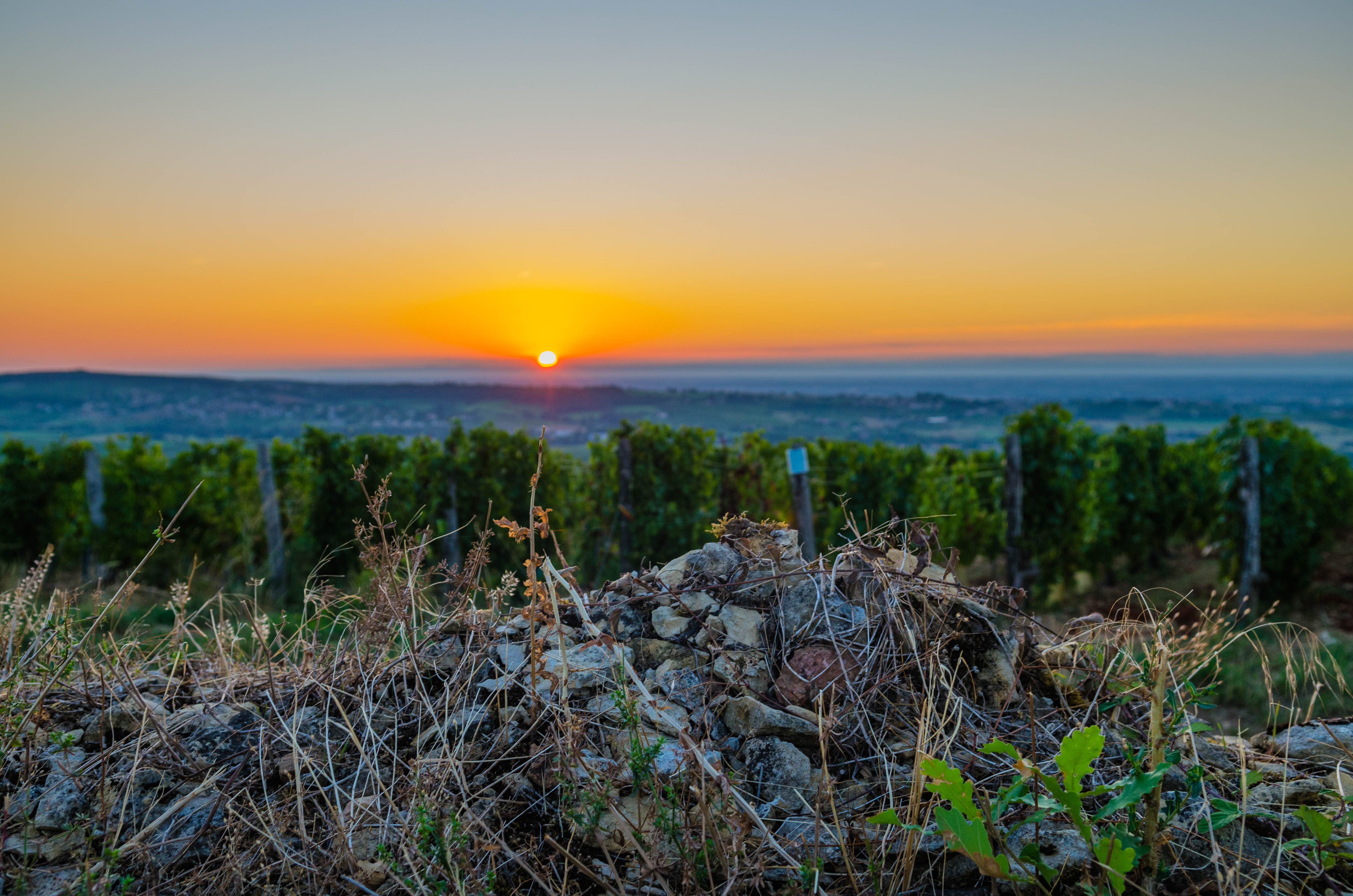 La Roche de Vergisson