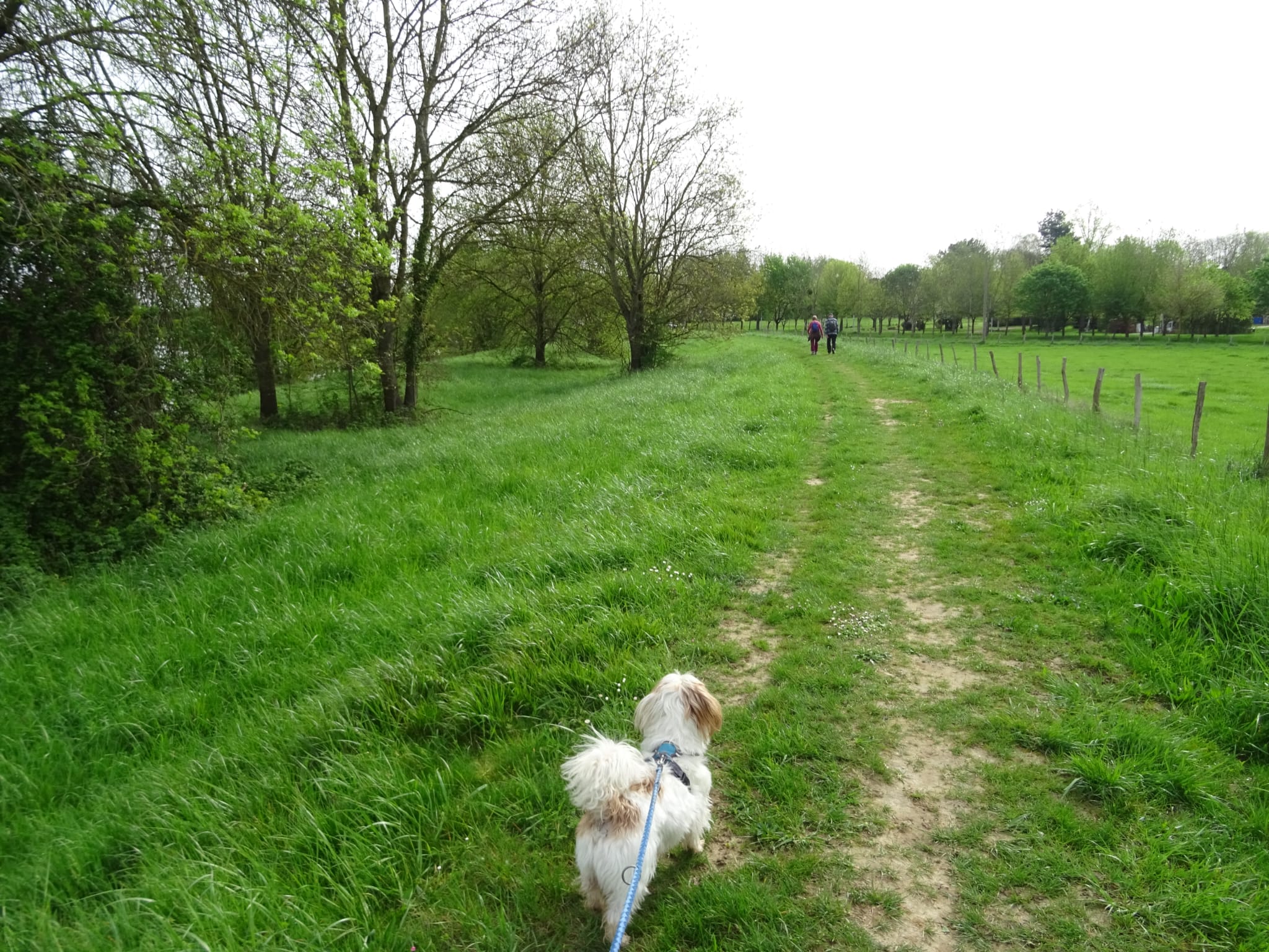 Randonnée La Bressane