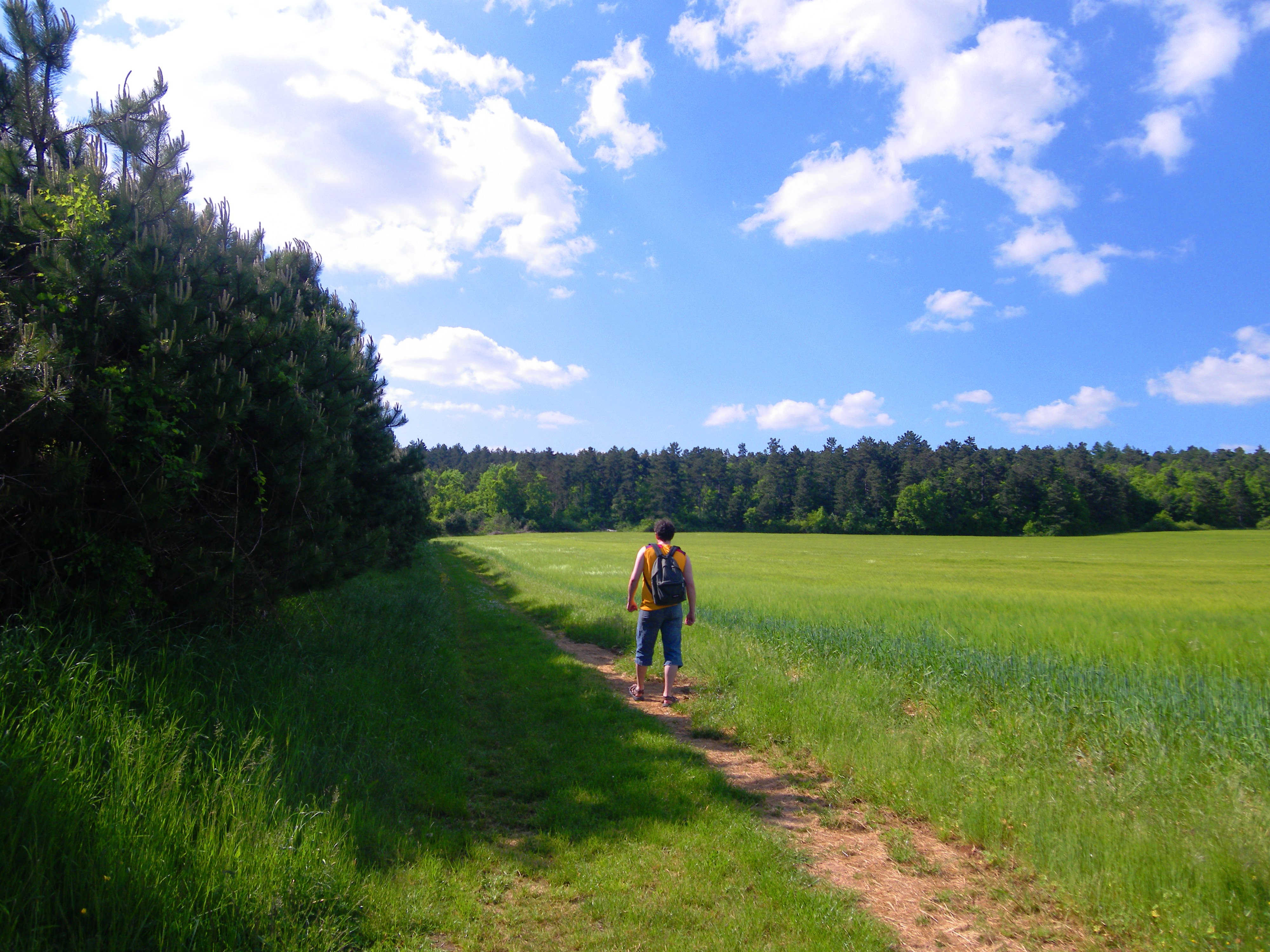 combe_marcevaux_sortie_nature_flore_papillons