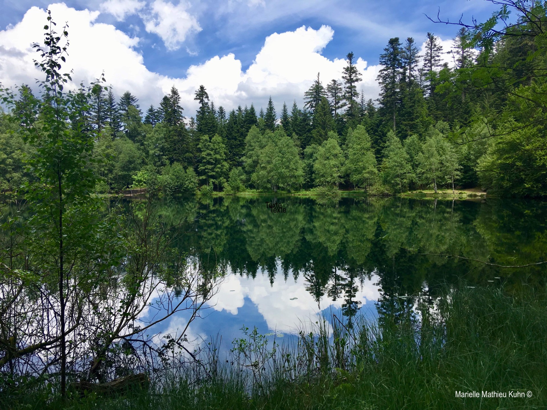 La Rando Sensorielle des Climats - Bain de Forêt