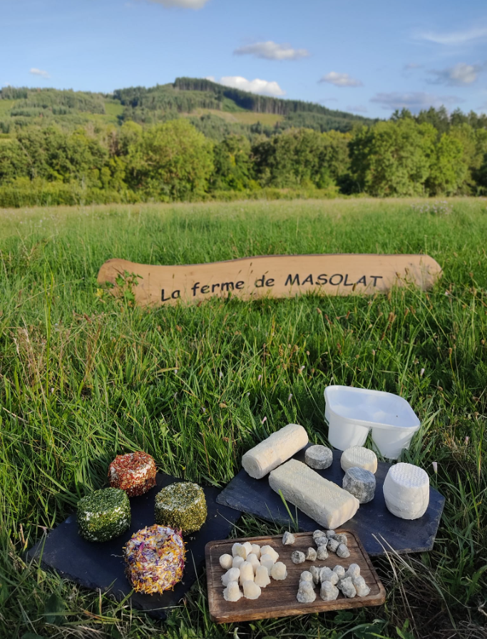 Média additionnel 5