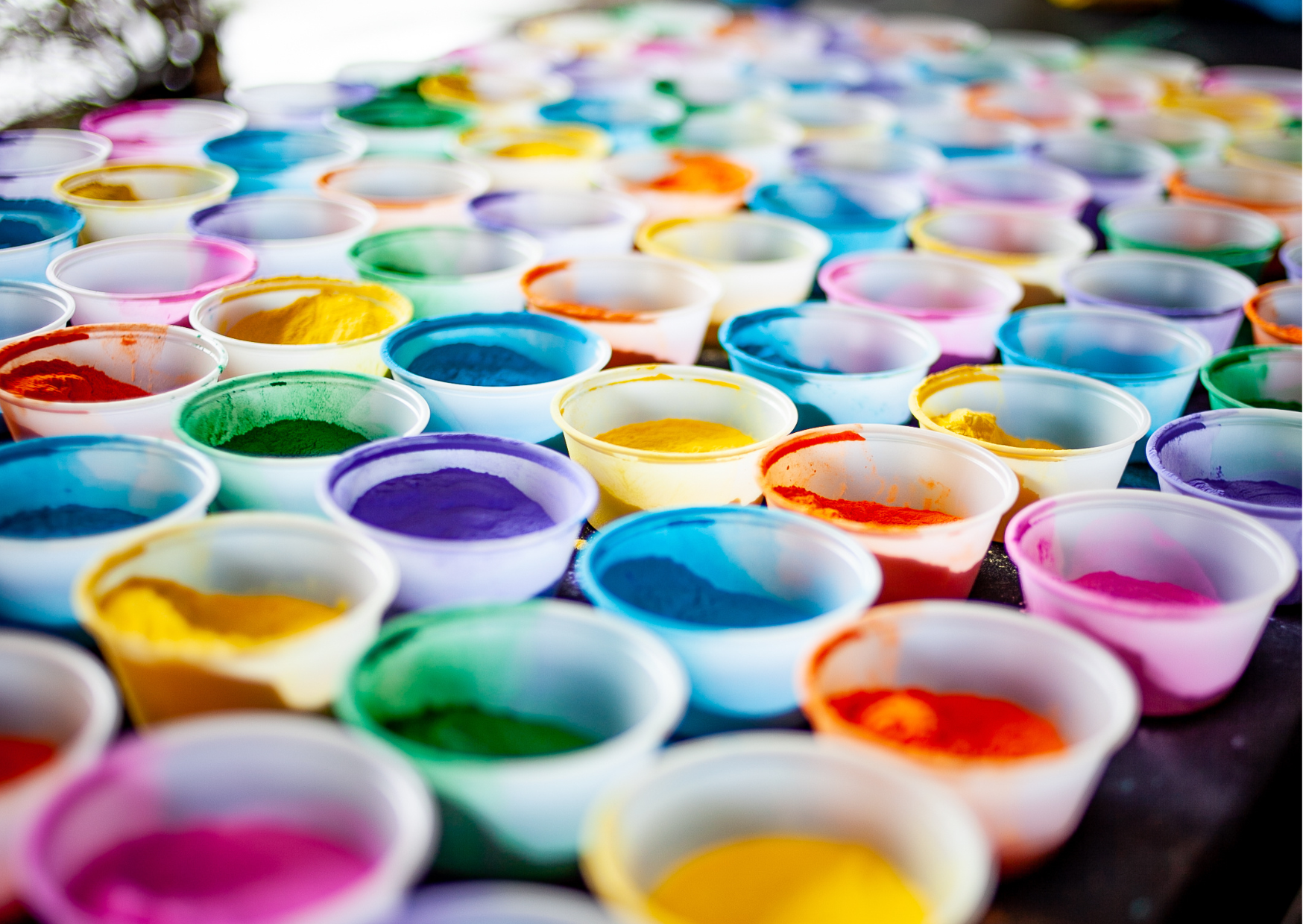 VISITE GUIDÉE - 1, 2, 3 COULEURS !