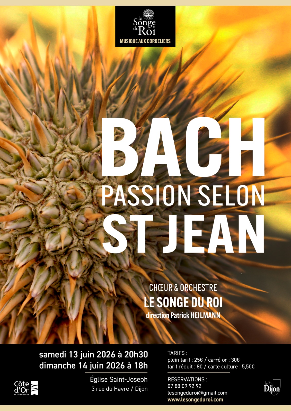 Concert - La passion selon St Jean - Ensemble Le Songe du Roi