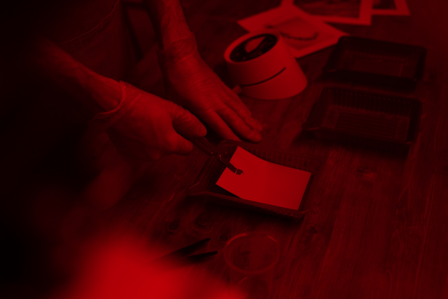 La photo dans le rétro