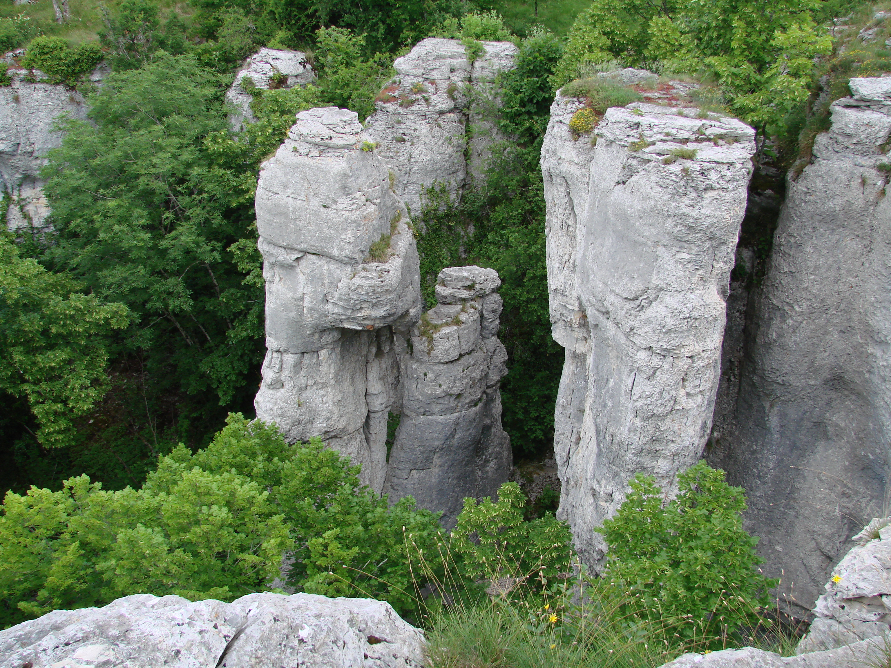 Randonnée-découverte de la Combe aux Mammouths à Lantenay — le 27 septembre 2026