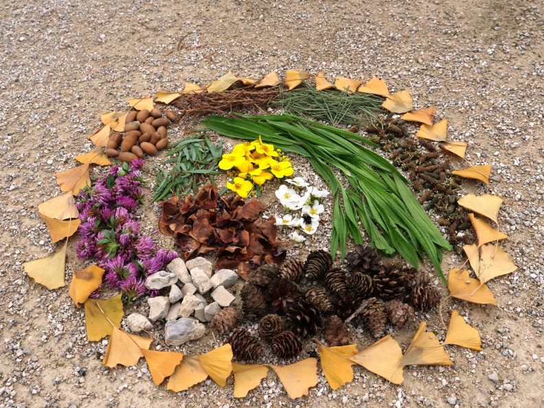 Land art enfants