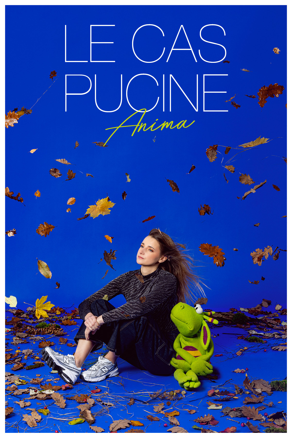 Le Cas Pucine