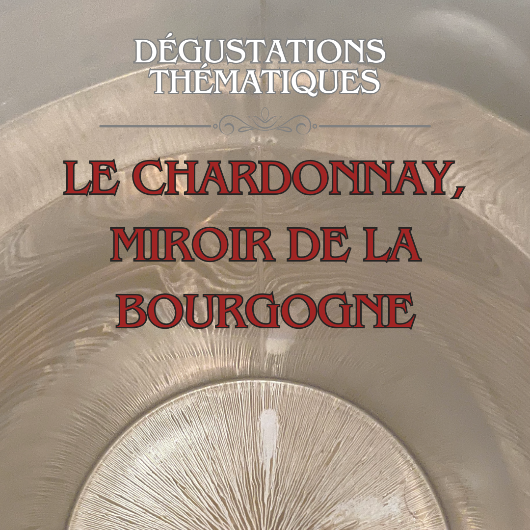 Dégustation thématique : Le Chardonnay, miroir de la Bourgogne