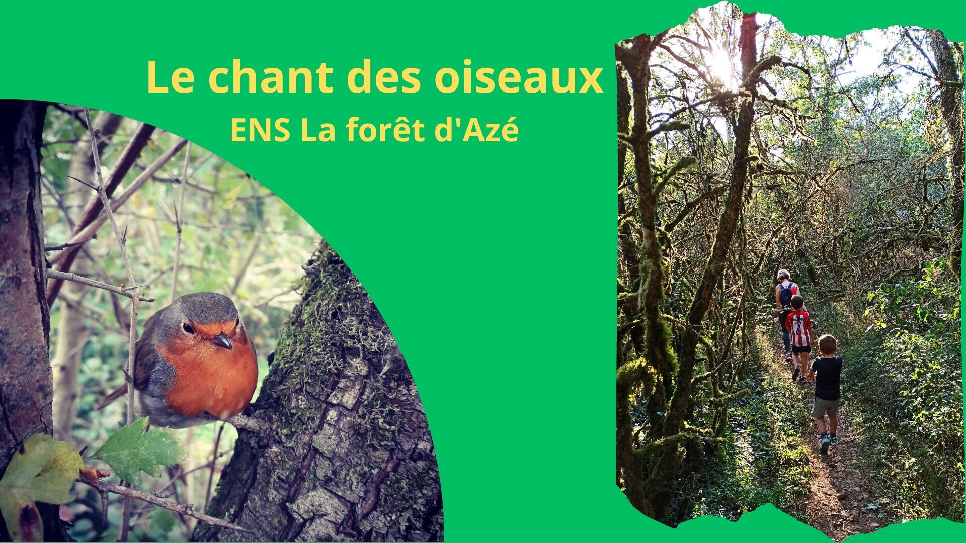Le chant des oiseaux ENS La forêt d'Azé