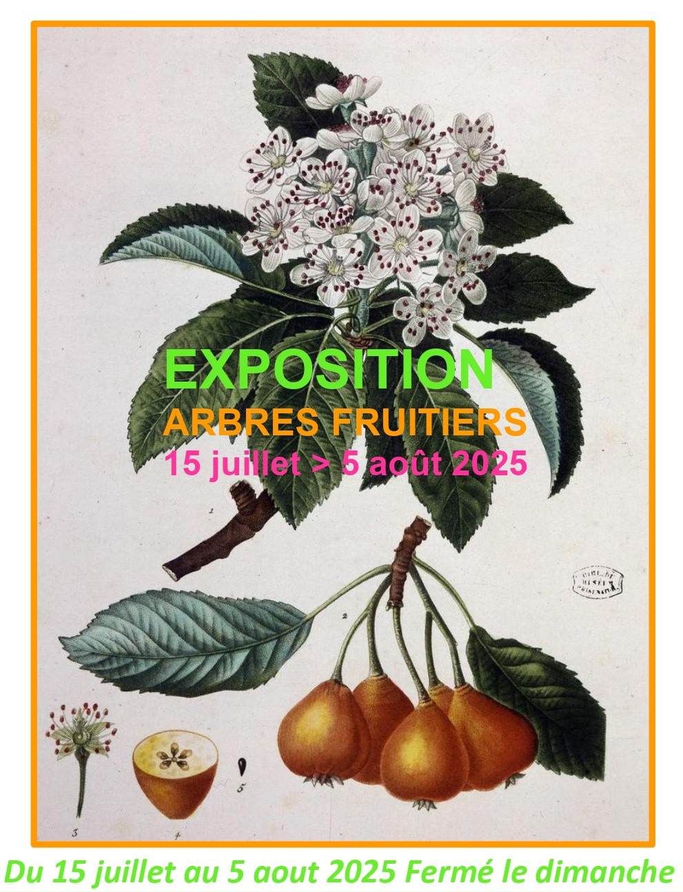 Le visuel pour le site