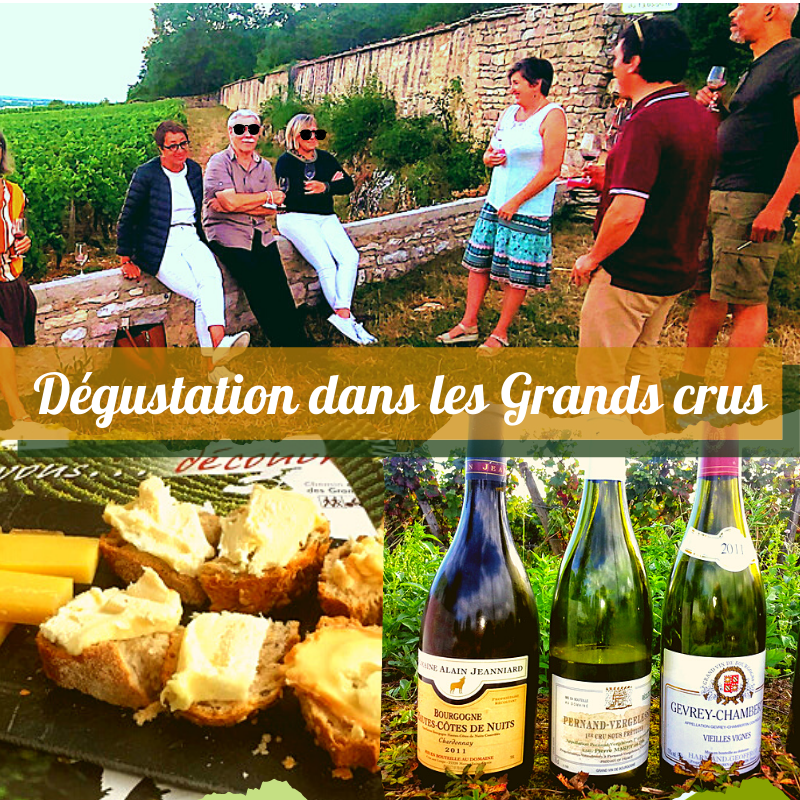 Les Apéro'Vignes dégustation grands crus