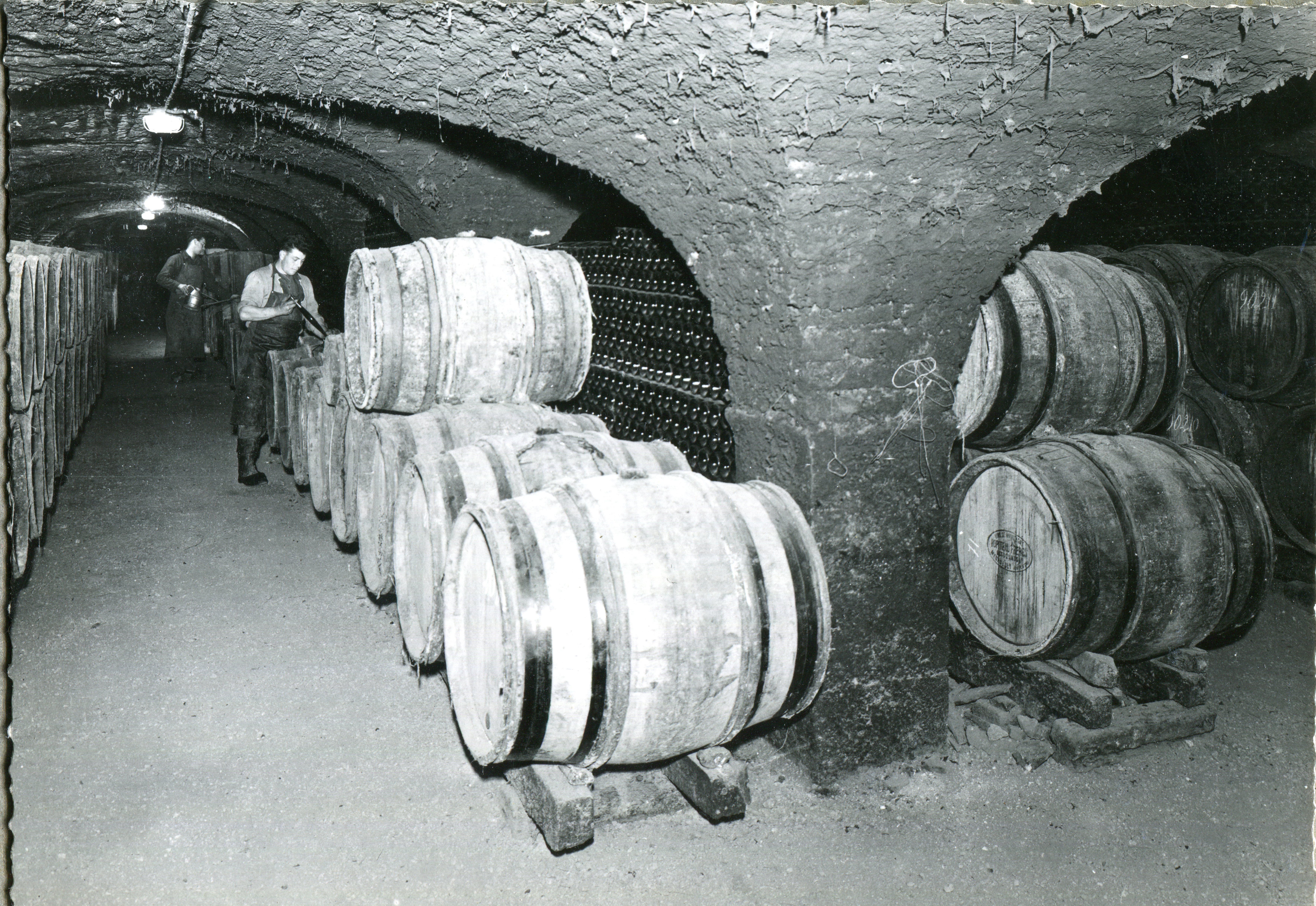 Caves Ropiteau à Meursault