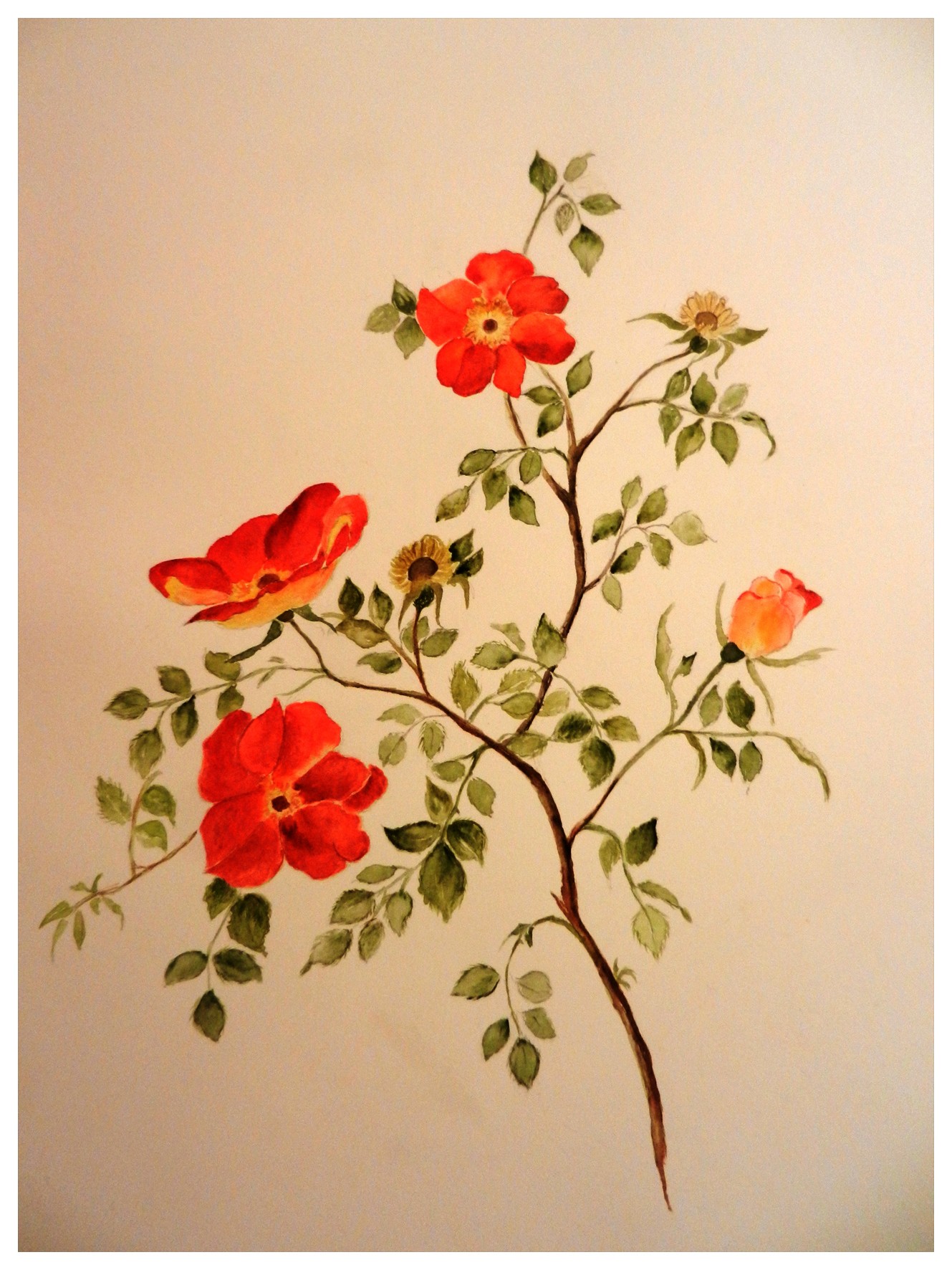 Les fleurs des peintres des Amis du Châtillonnais