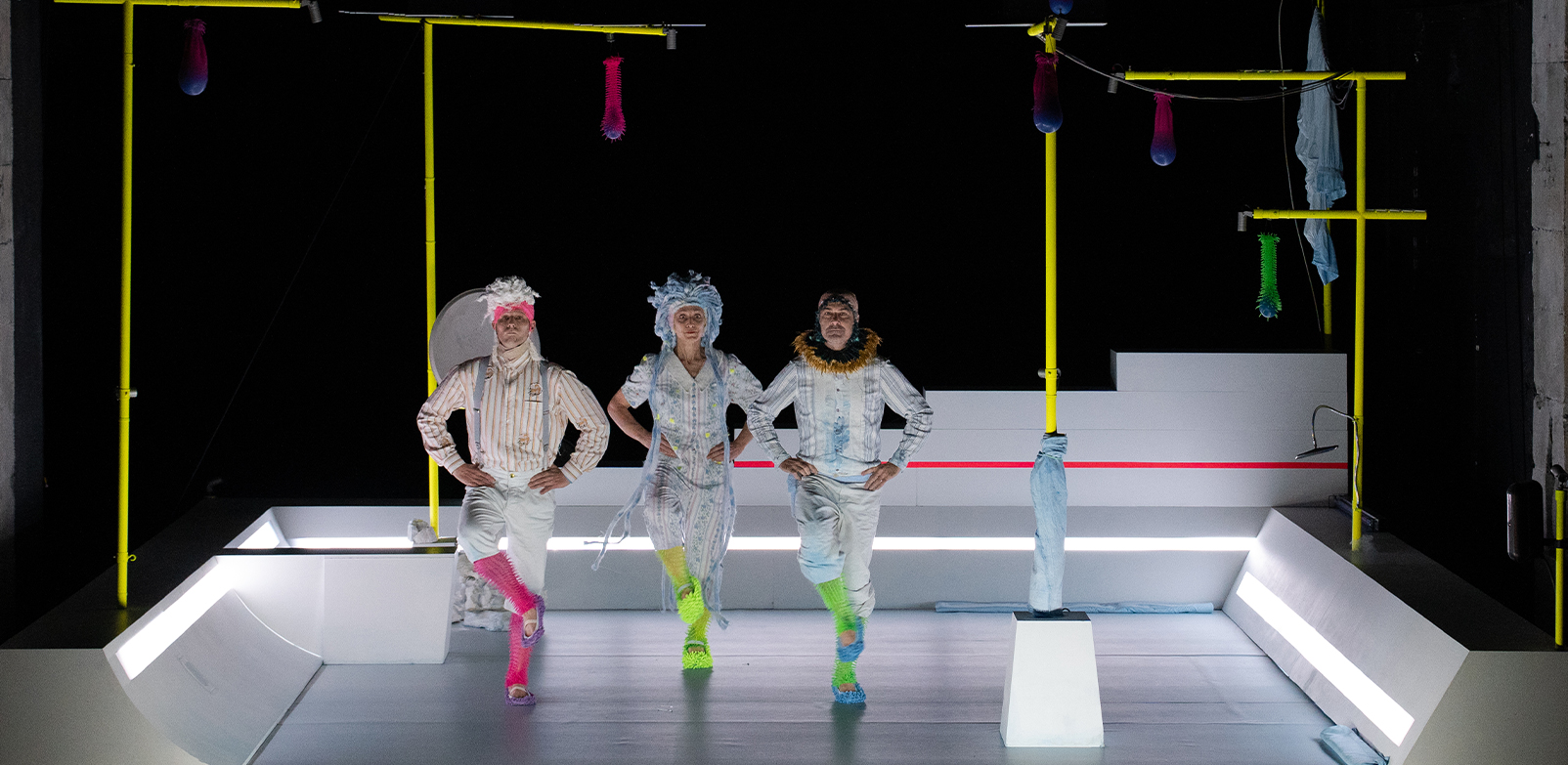 Spectacle - Les voltigeurs de Gy