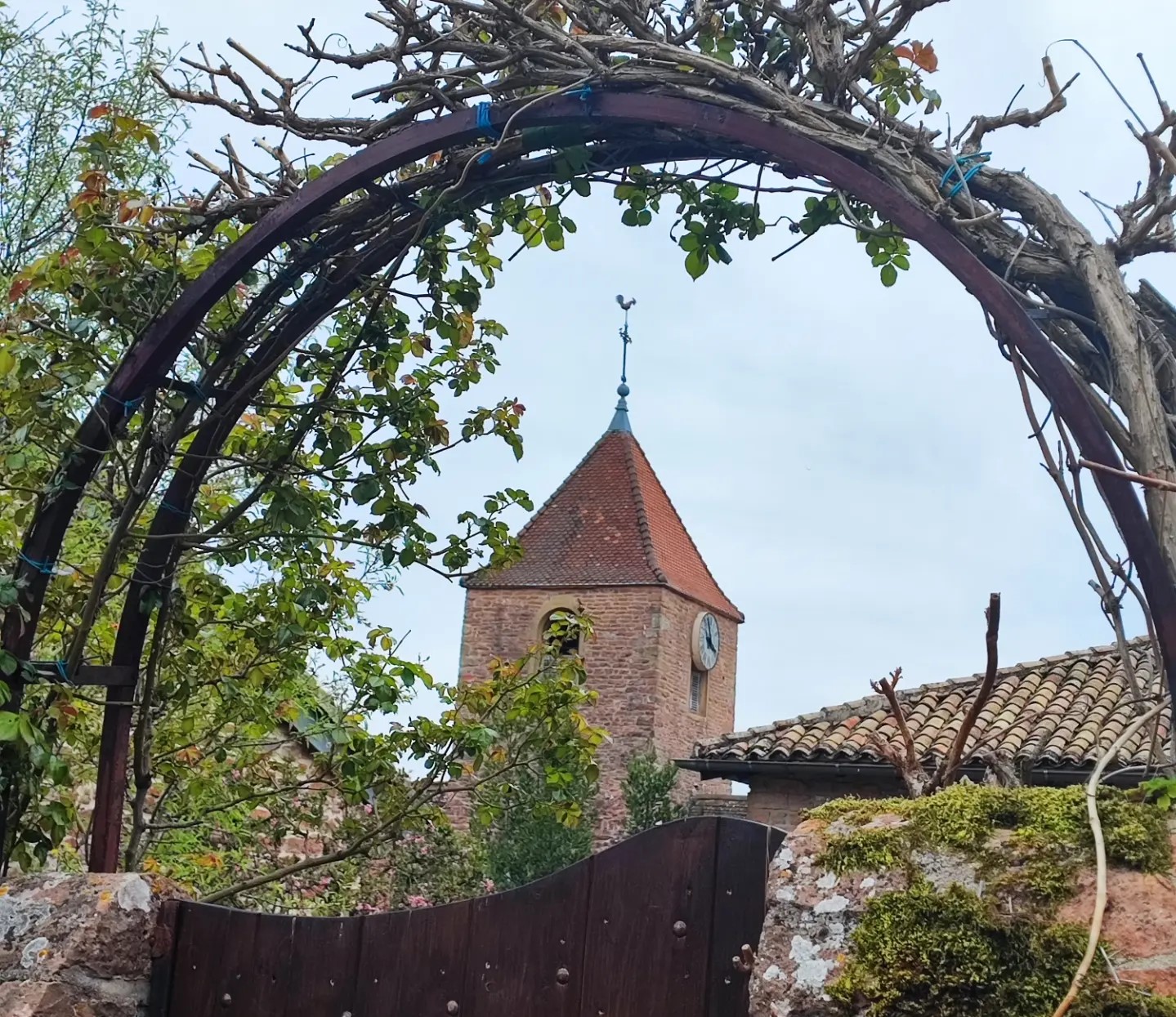 Les naturgourmandes : Leynes