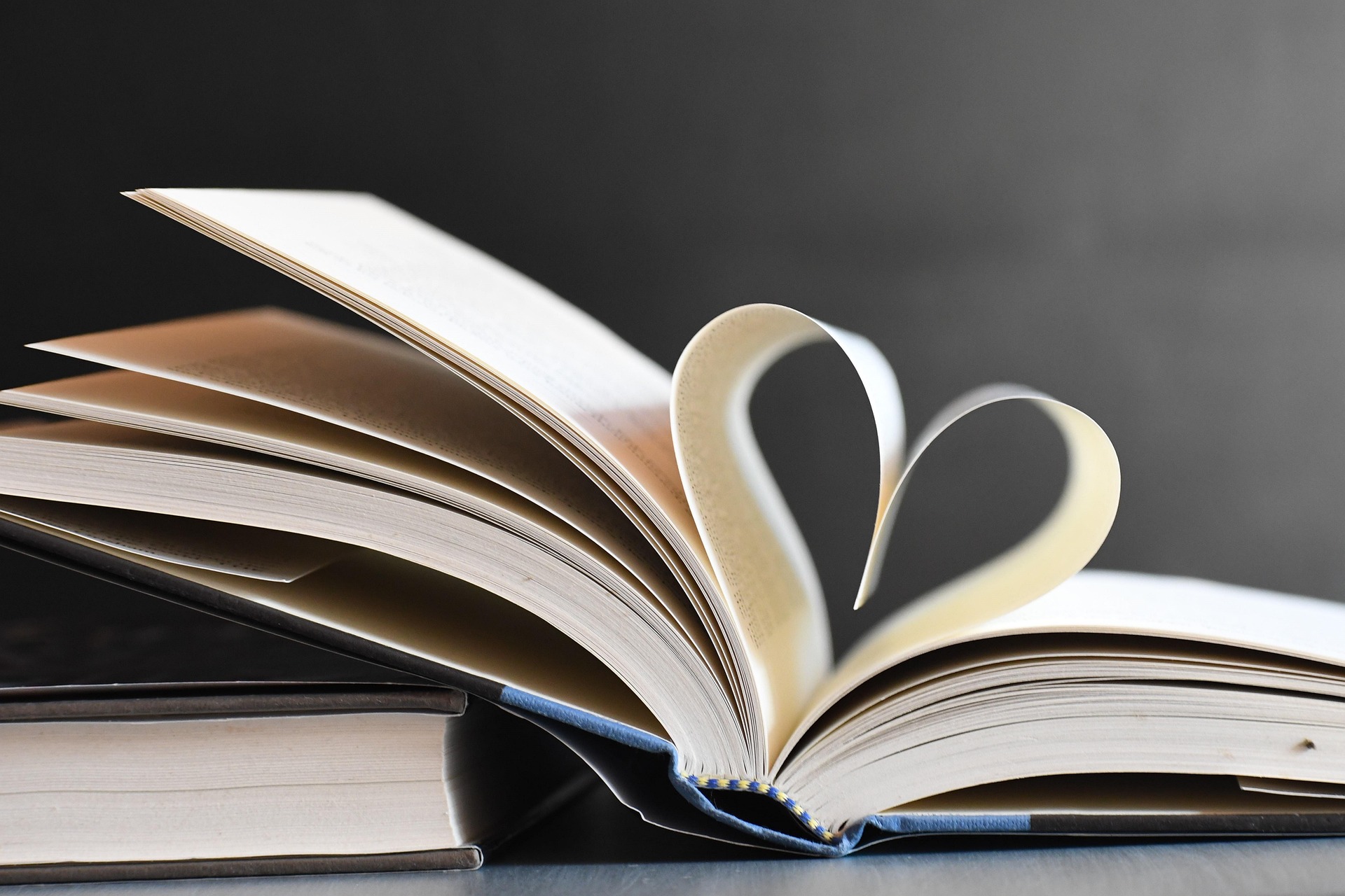 Évènement : Foire aux livres