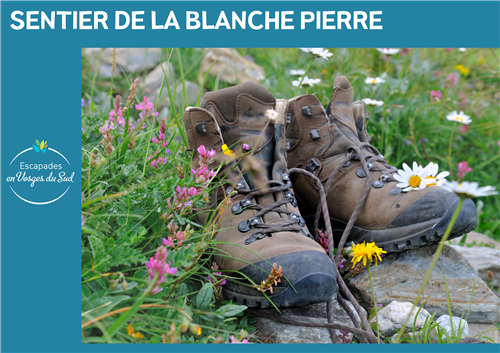 SENTIER DE LA BLANCHE PIERRE 