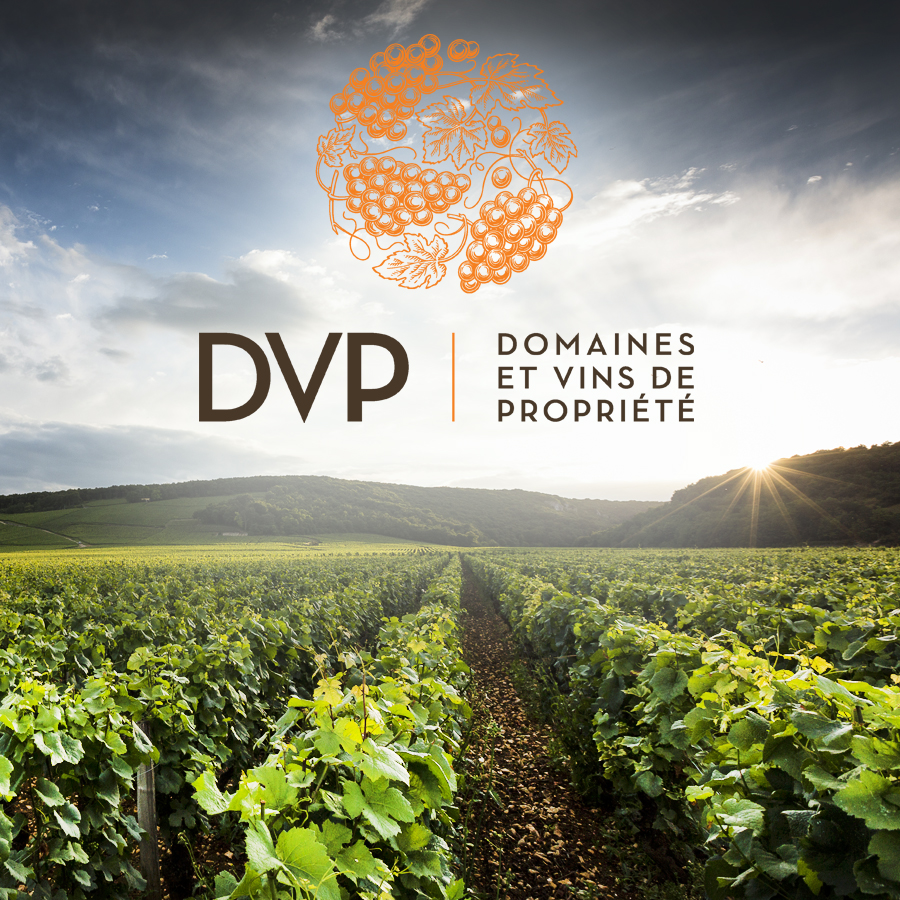 DVP Domaines & Vins de Propriété Bourgogne