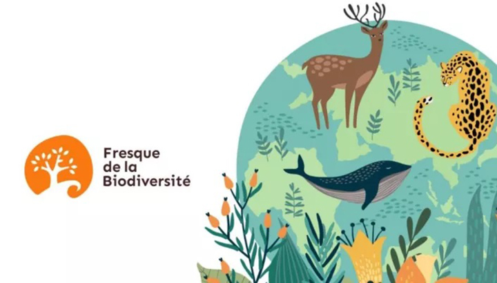 Les oiseaux des rivières et NaturaList à Vergigny