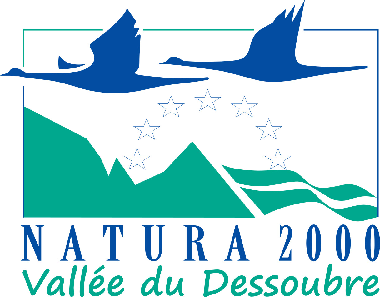 Plantes sauvages comestibles : balade et cueillette respectueuse de la biodiversité à Montjoie-le-château
