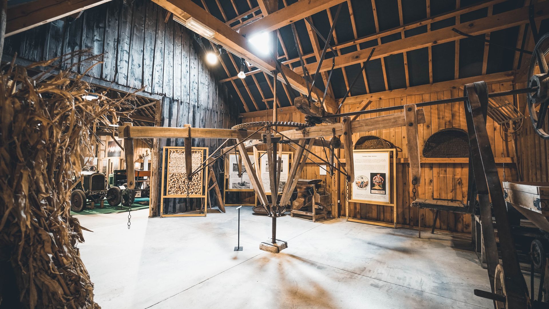 En famille au musée : nos amies les abeilles