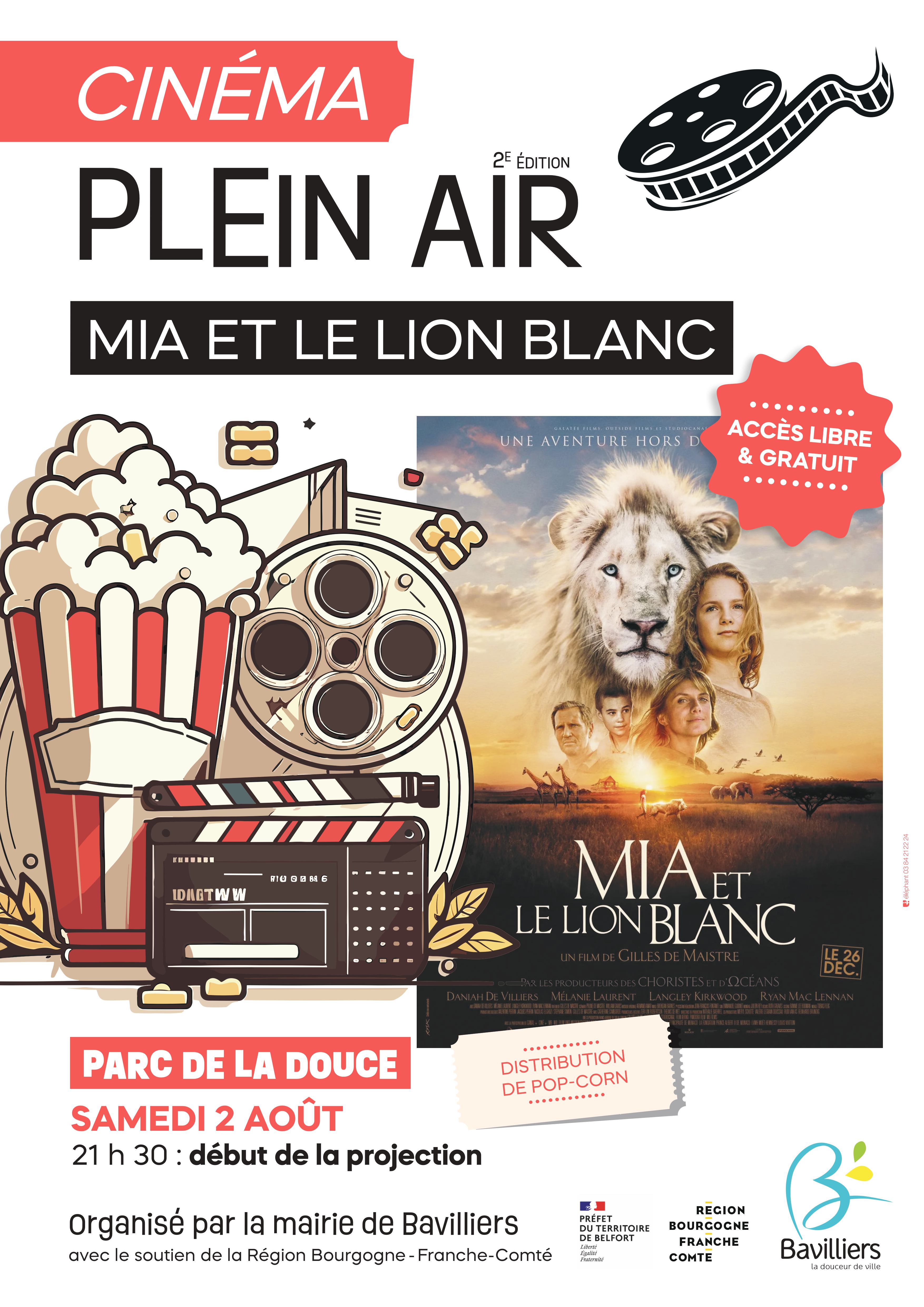 Ciné plein air