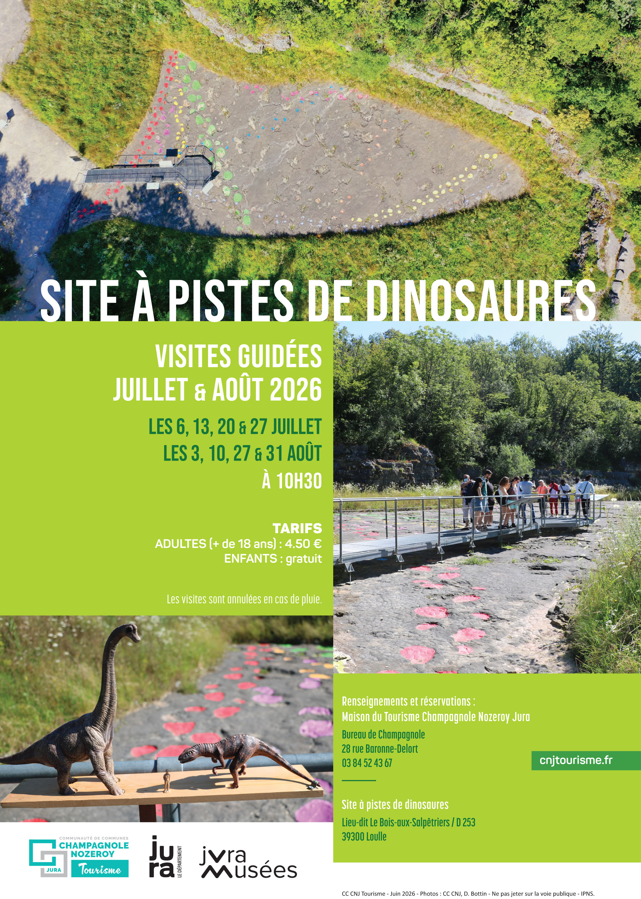 Visite Site à pistes de dinosaures