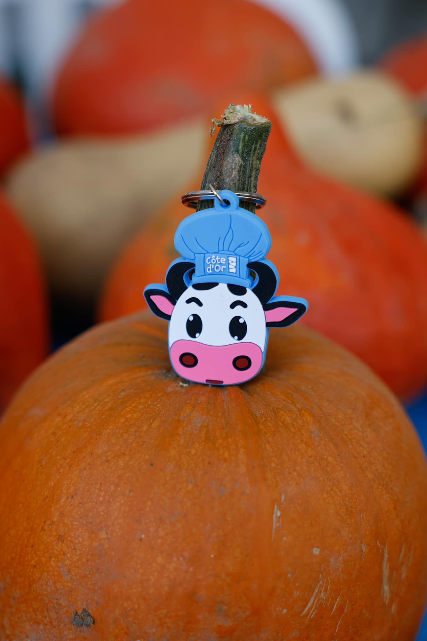 Marche Automne 100% Cote d'Or