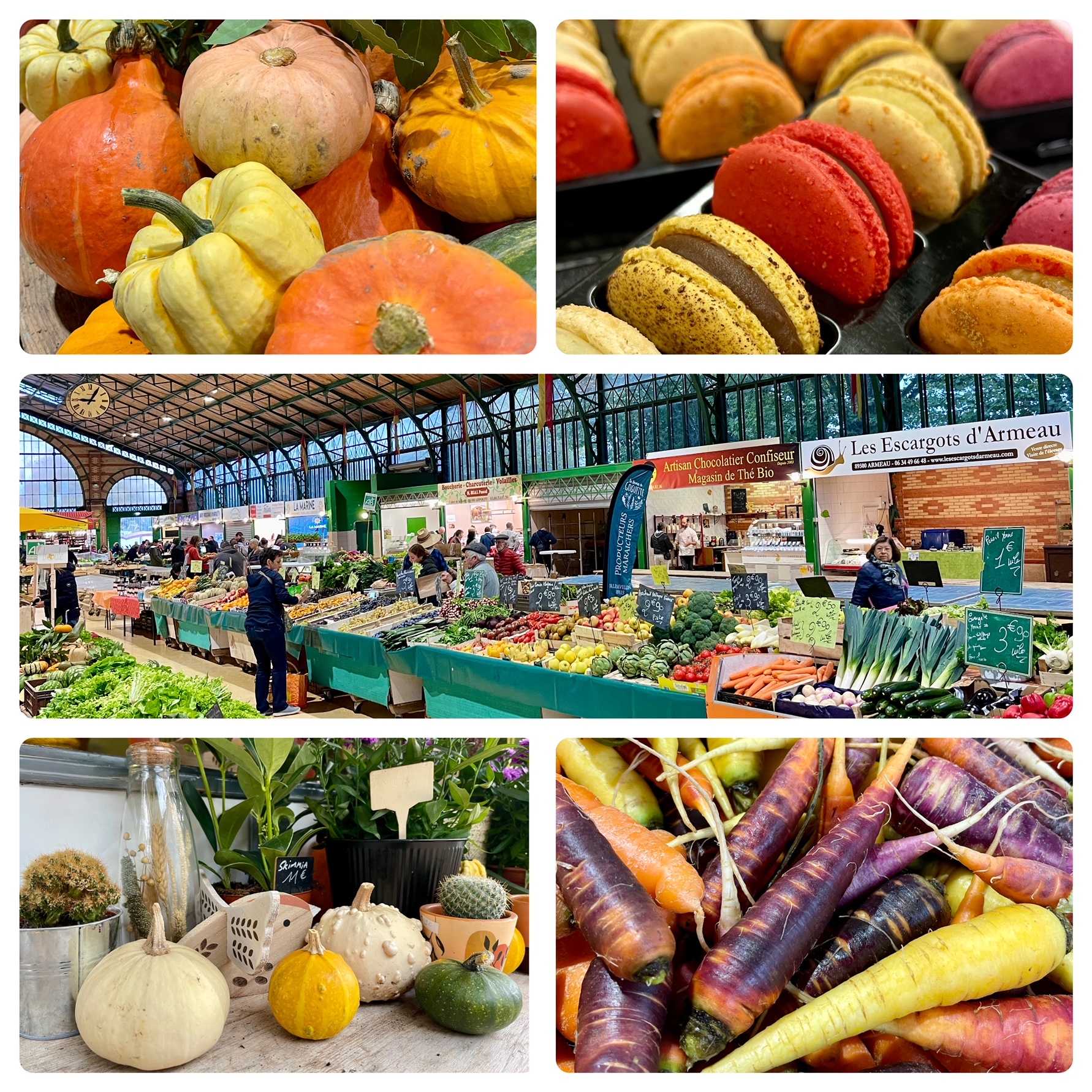 Marché Joigny 