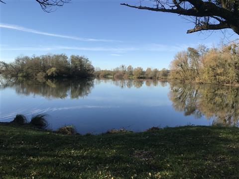Marnay, haut lieu de la pêche