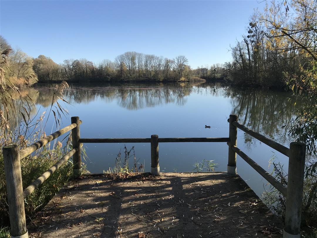Marnay, haut lieu de la pêche