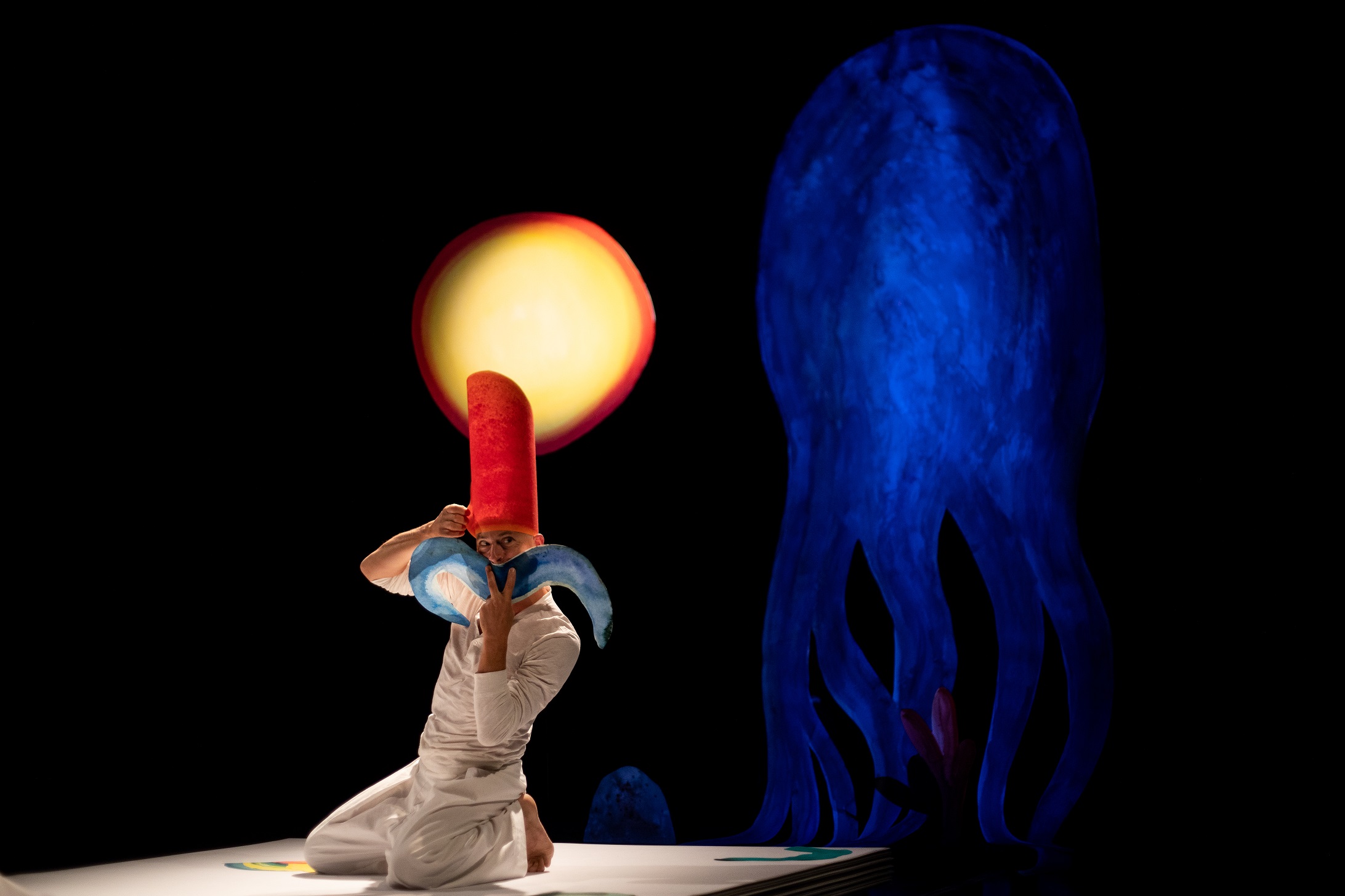 Méduses 053 copie c Vincent Arbelet web