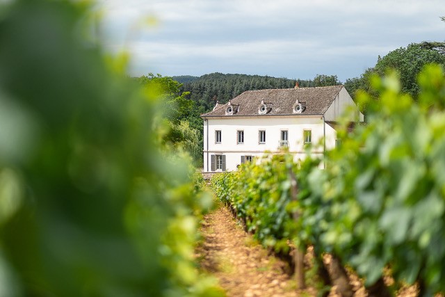 Mercurey - Château de Garnerot - Vins - Domaine - Dégustation - 2019  (7)