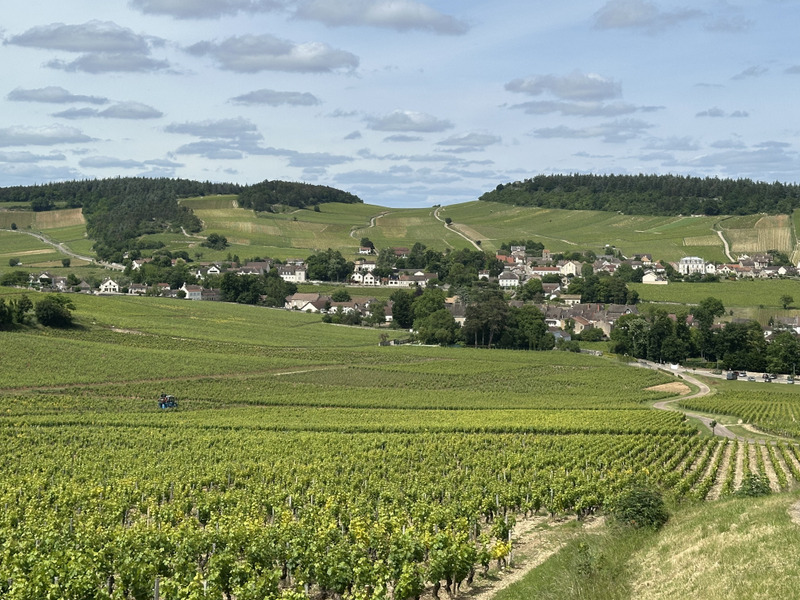 Le Grand Tour du Chalonnais à pied : Etape Chagny à Mercurey