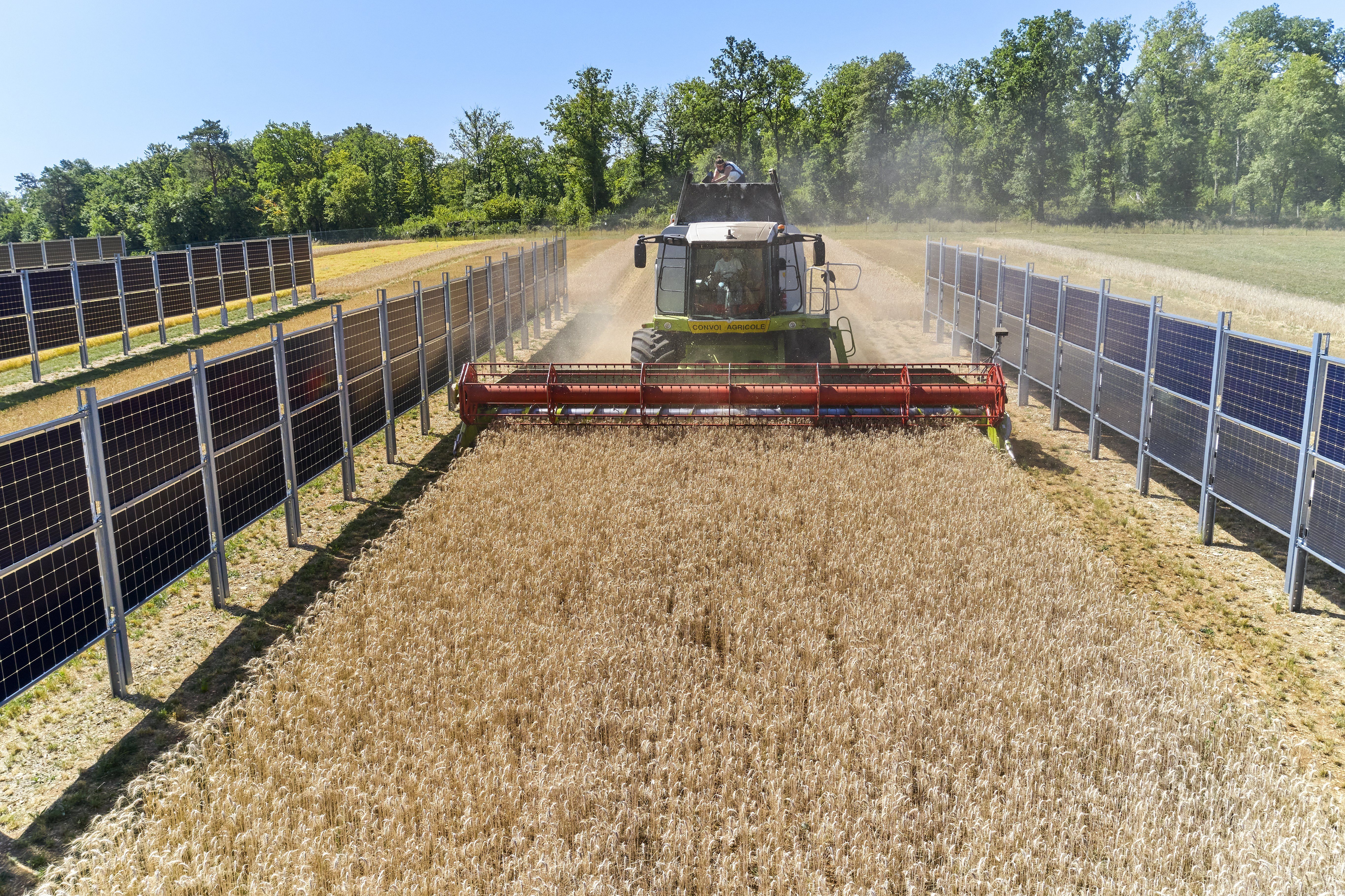 Moisson Parc Photovoltaique Chanay 21-108