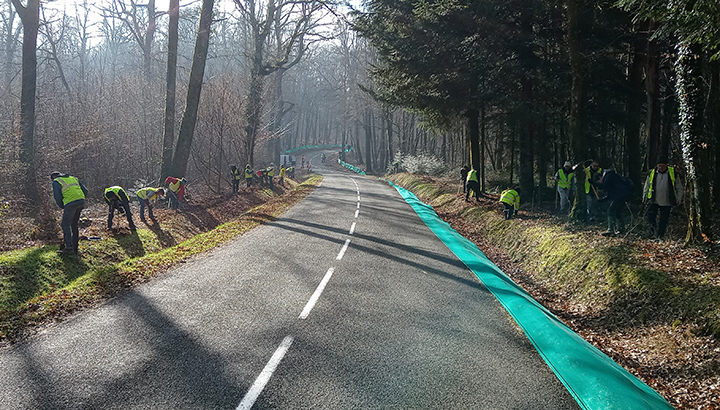 Chantier de démontage du dispositif automnal de sauvetage routier des amphibiens à Vorges-les-Pins